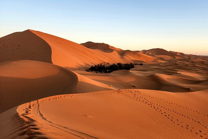 A camel caravan traversing large sand dunes in the Sahara