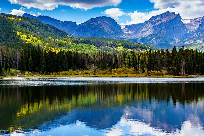 Pristine alpine meadow and pine forest in the Rocky Mountains
